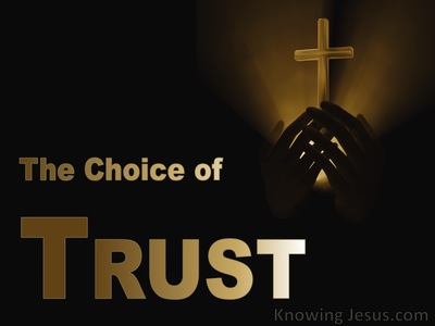 The Choice of Trust